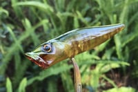 Image 8 of SPEEDBAITS Custom Airbrushed Topwater Popper 8900