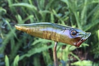 Image 9 of SPEEDBAITS Custom Airbrushed Topwater Popper 8900
