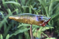 Image 7 of SPEEDBAITS Custom Airbrushed Topwater Popper 8900