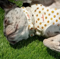 Image 4 of Collar para Mascota Smiley Beige y Cherry – Ajustable con Broche de Seguridad