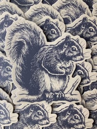 Image 1 of SQUIRREL STICKER