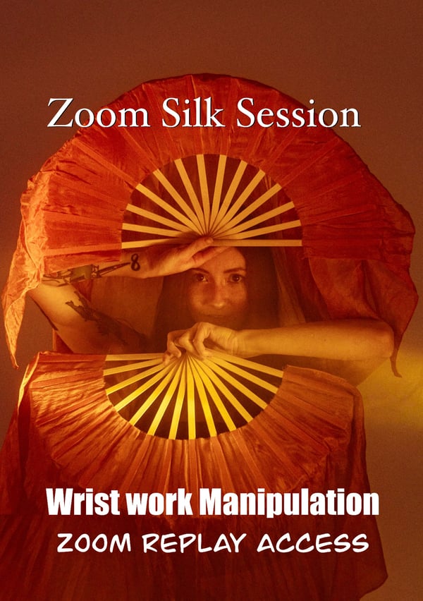 Image of Silk Tech Wrist Work Manipulation Replay Access