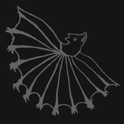 Image of Parásito – Despoblador II 12" LP