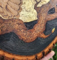 Image 2 of 'Wise Old Night Owl'