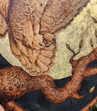 Image 3 of 'Wise Old Night Owl'