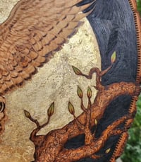 Image 4 of 'Wise Old Night Owl'