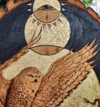 Image 5 of 'Wise Old Night Owl'