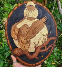 Image 1 of 'Wise Old Night Owl'