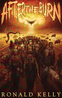 Image 1 of After the Burn (Paperback)