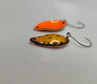 Image 2 of Brown Trout