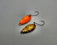 Image 3 of Brown Trout