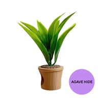 Image 7 of Pot Plants