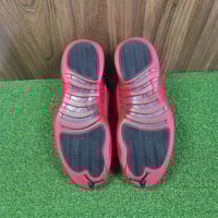 Image 5 of Air Jordan 12 Retro Flu Game 2016