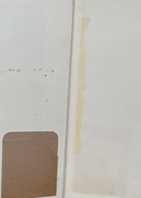 Image 4 of The Native Garden by Robert Gathorne-Hardy