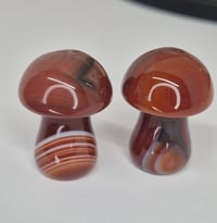 Carnelian Mushroom