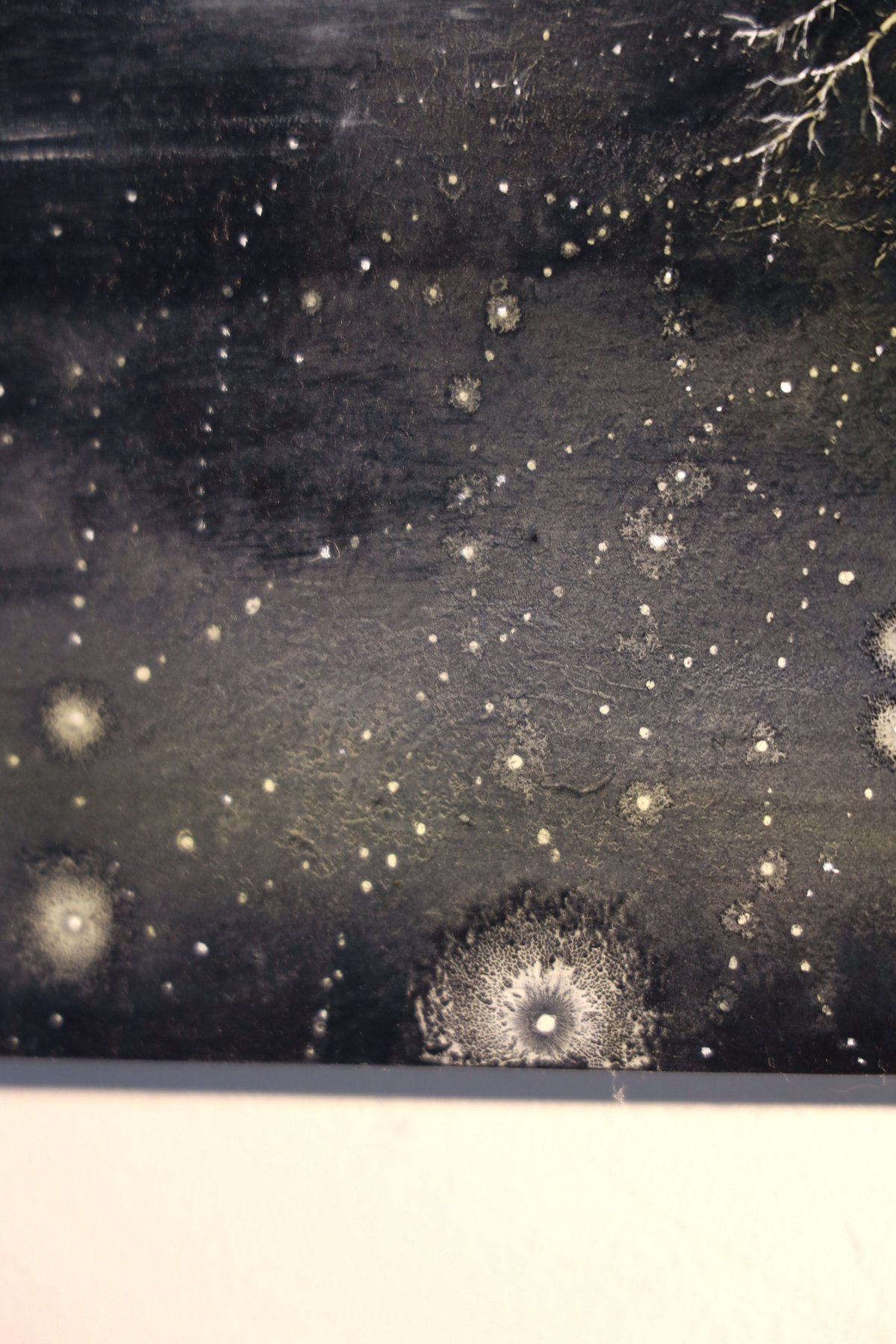 'Beneath The Barren Soil' Original Painting