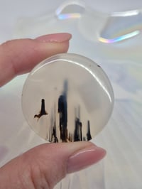 Image 1 of Chalcedony with Dendrites 