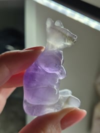 Image 2 of Fluorite  Kangaroo 