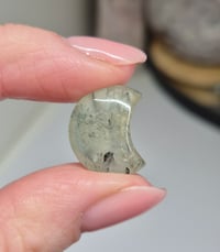 Image 1 of Mini Moon