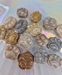 Image 1 of Coral Minis