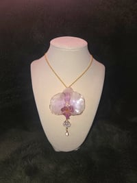 Sacred Blossom 