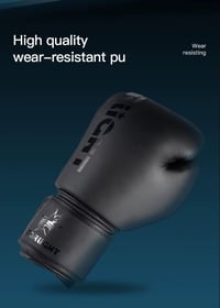 Image 2 of Boxing Gloves