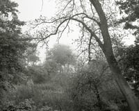 Image 2 of A New Home - Preorder  