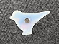 Image 2 of Oregon Bird Magnets, Set 1