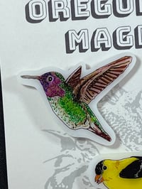 Image 2 of Oregon Bird Magnets, Set 2