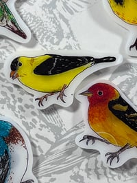 Image 3 of Oregon Bird Magnets, Set 2