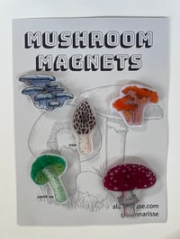 Image 3 of Mushroom Magnet Set
