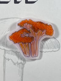 Image 2 of Mushroom Magnet Set