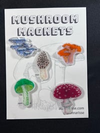 Image 1 of Mushroom Magnet Set