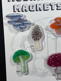 Image 4 of Mushroom Magnet Set