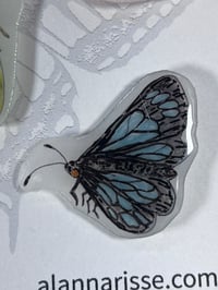 Image 4 of Moth and Butterfly Magnets - Set 3