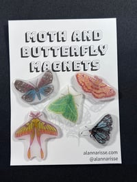Image 1 of Moth and Butterfly Magnets - Set 3
