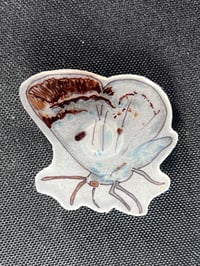 Image 2 of Moth and Butterfly Magnets - Set 2