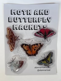 Image 1 of Moth and Butterfly Magnets - Set 2