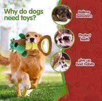 Image 2 of Juguete Interactivo para Perros con Sonido – Perrito de Tracción 4Paw Blessed