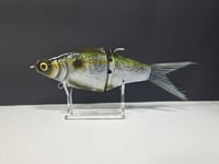 Image 1 of JC Glide Baits- Jailbreaker colorway #12