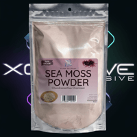 Image 1 of Chondracanthus Chamissoi Sea Moss Powder (Organic) – 4oz 