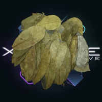 Image 3 of Organic Soursop Leaves – Approximately 80 leaves