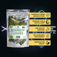 Image 4 of Organic Soursop Leaves – Approximately 80 leaves