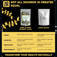 Image 5 of Organic Soursop Leaves – Approximately 80 leaves