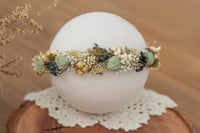 Newborn/Sitter Halo 202