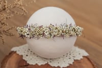 Newborn/Sitter Halo 203