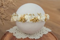 Newborn/Sitter Halo 207