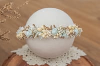 Newborn/Sitter Halo 214