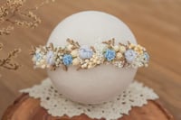 Newborn/Sitter Halo 216