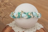 Newborn/Sitter Halo 219